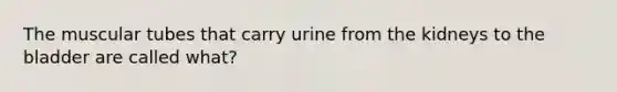 The muscular tubes that carry urine from the kidneys to the bladder are called what?