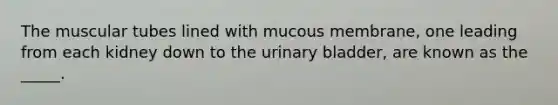 The muscular tubes lined with mucous membrane, one leading from each kidney down to the urinary bladder, are known as the _____.