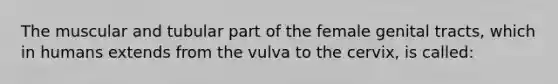 The muscular and tubular part of the female genital tracts, which in humans extends from the vulva to the cervix, is called: