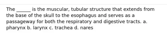 The ______ is the muscular, tubular structure that extends from the base of the skull to <a href='https://www.questionai.com/knowledge/kSjVhaa9qF-the-esophagus' class='anchor-knowledge'>the esophagus</a> and serves as a passageway for both the respiratory and digestive tracts. a. pharynx b. larynx c. trachea d. nares