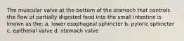 The muscular valve at the bottom of the stomach that controls the flow of partially digested food into the small intestine is known as the: a. lower esophageal sphincter b. pyloric sphincter c. epithelial valve d. stomach valve