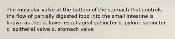 The muscular valve at the bottom of the stomach that controls the flow of partially digested food into the small intestine is known as the: a. lower esophageal sphincter b. pyloric sphincter c. epithelial valve d. stomach valve