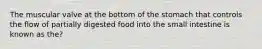 The muscular valve at the bottom of the stomach that controls the flow of partially digested food into the small intestine is known as the?