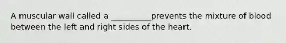 A muscular wall called a __________prevents the mixture of blood between the left and right sides of the heart.