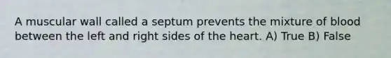 A muscular wall called a septum prevents the mixture of blood between the left and right sides of the heart. A) True B) False