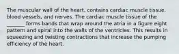 The muscular wall of the heart, contains cardiac muscle tissue, blood vessels, and nerves. The cardiac muscle tissue of the _______ forms bands that wrap around the atria in a figure eight pattern and spiral into the walls of the ventricles. This results in squeezing and twisting contractions that increase the pumping efficiency of the heart.