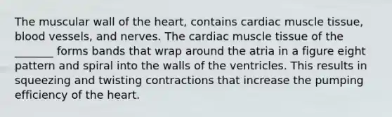 The muscular wall of the heart, contains cardiac muscle tissue, blood vessels, and nerves. The cardiac muscle tissue of the _______ forms bands that wrap around the atria in a figure eight pattern and spiral into the walls of the ventricles. This results in squeezing and twisting contractions that increase the pumping efficiency of the heart.