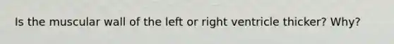 Is the muscular wall of the left or right ventricle thicker? Why?