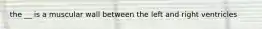 the __ is a muscular wall between the left and right ventricles