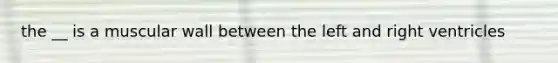 the __ is a muscular wall between the left and right ventricles