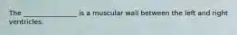 The ________________ is a muscular wall between the left and right ventricles.