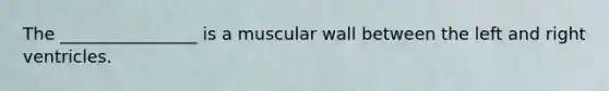 The ________________ is a muscular wall between the left and right ventricles.