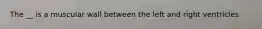 The __ is a muscular wall between the left and right ventricles