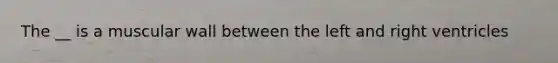 The __ is a muscular wall between the left and right ventricles