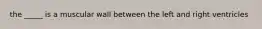 the _____ is a muscular wall between the left and right ventricles