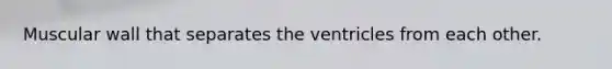 Muscular wall that separates the ventricles from each other.