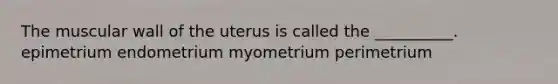 The muscular wall of the uterus is called the __________. epimetrium endometrium myometrium perimetrium