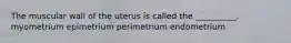 The muscular wall of the uterus is called the __________. myometrium epimetrium perimetrium endometrium