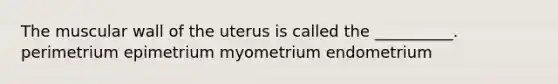 The muscular wall of the uterus is called the __________. perimetrium epimetrium myometrium endometrium