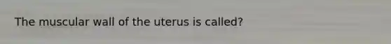 The muscular wall of the uterus is called?