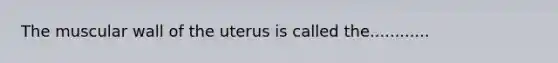 The muscular wall of the uterus is called the............