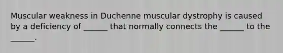 Muscular weakness in Duchenne muscular dystrophy is caused by a deficiency of ______ that normally connects the ______ to the ______.