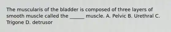 The muscularis of the bladder is composed of three layers of smooth muscle called the ______ muscle. A. Pelvic B. Urethral C. Trigone D. detrusor