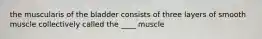 the muscularis of the bladder consists of three layers of smooth muscle collectively called the ____ muscle