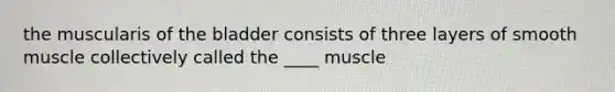 the muscularis of the bladder consists of three layers of smooth muscle collectively called the ____ muscle