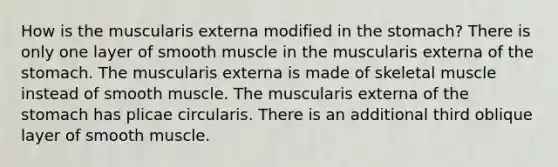 How is the muscularis externa modified in the stomach? There is only one layer of smooth muscle in the muscularis externa of the stomach. The muscularis externa is made of skeletal muscle instead of smooth muscle. The muscularis externa of the stomach has plicae circularis. There is an additional third oblique layer of smooth muscle.