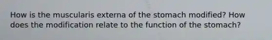 How is the muscularis externa of the stomach modified? How does the modification relate to the function of the stomach?