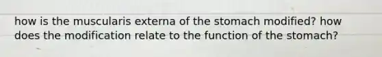how is the muscularis externa of the stomach modified? how does the modification relate to the function of the stomach?