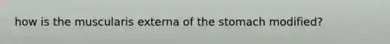 how is the muscularis externa of the stomach modified?