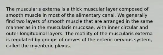 The muscularis externa is a thick muscular layer composed of smooth muscle in most of the alimentary canal. We generally find two layers of smooth muscle that are arranged in the same manner as in the muscularis mucosae, with inner circular and outer longitudinal layers. The motility of the muscularis externa is regulated by groups of nerves of the enteric nervous system, called the myenteric plexus.