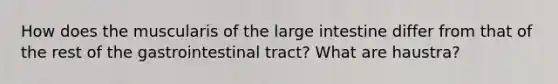 How does the muscularis of the large intestine differ from that of the rest of the gastrointestinal tract? What are haustra?