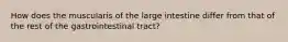 How does the muscularis of the large intestine differ from that of the rest of the gastrointestinal tract?