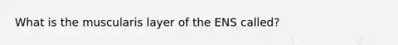 What is the muscularis layer of the ENS called?