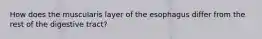 How does the muscularis layer of the esophagus differ from the rest of the digestive tract?