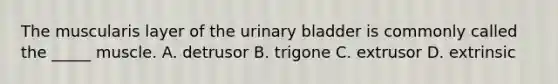 The muscularis layer of the urinary bladder is commonly called the _____ muscle. A. detrusor B. trigone C. extrusor D. extrinsic