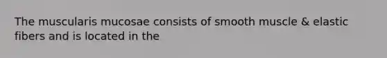 The muscularis mucosae consists of smooth muscle & elastic fibers and is located in the