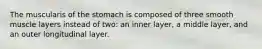 The muscularis of the stomach is composed of three smooth muscle layers instead of two: an inner layer, a middle layer, and an outer longitudinal layer.