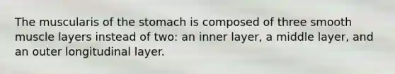 The muscularis of the stomach is composed of three smooth muscle layers instead of two: an inner layer, a middle layer, and an outer longitudinal layer.