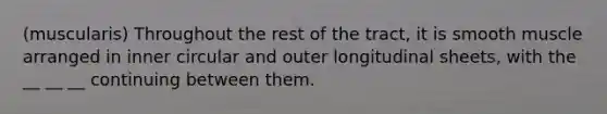 (muscularis) Throughout the rest of the tract, it is smooth muscle arranged in inner circular and outer longitudinal sheets, with the __ __ __ continuing between them.