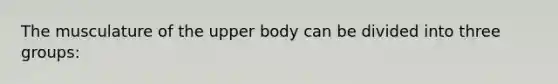 The musculature of the upper body can be divided into three groups: