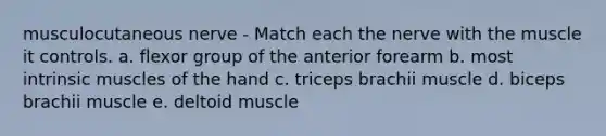 musculocutaneous nerve - Match each the nerve with the muscle it controls. a. flexor group of the anterior forearm b. most intrinsic muscles of the hand c. triceps brachii muscle d. biceps brachii muscle e. deltoid muscle