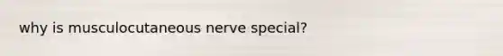 why is musculocutaneous nerve special?