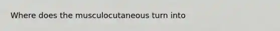 Where does the musculocutaneous turn into