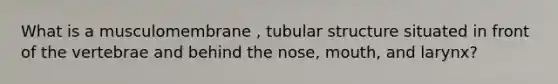 What is a musculomembrane , tubular structure situated in front of the vertebrae and behind the nose, mouth, and larynx?