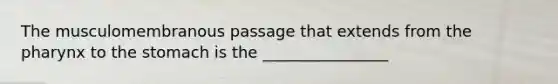 The musculomembranous passage that extends from the pharynx to the stomach is the ________________