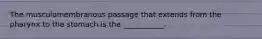 The musculomembranous passage that extends from the pharynx to the stomach is the ___________.